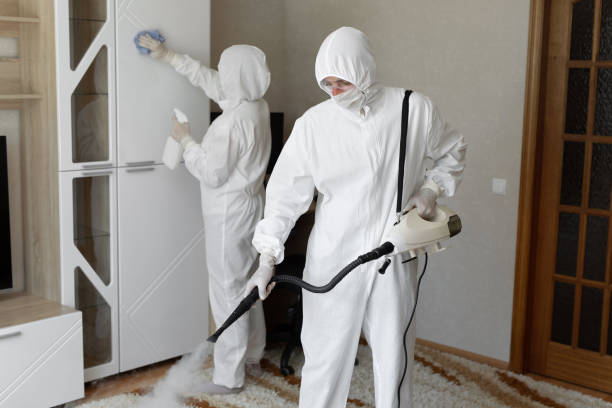 Affordable Sewage Cleanup solutions in Hebron, OH
